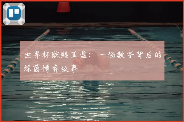 世界杯欧赔亚盘：一场数字背后的绿茵博弈故事